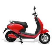 Evolet Pony 