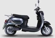 Fidato Evtech Cutie 