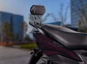 Joy E-bike Wolf Plus 