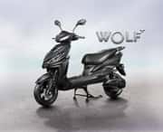 Joy E-bike Wolf Plus 
