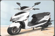 Zelio Gracy Front Side Profile