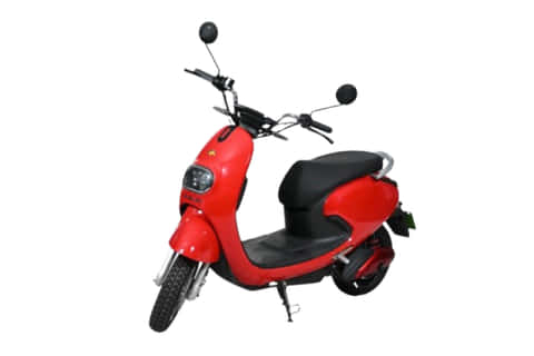 Evolet Pony Evolet Pony