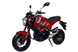 Joy E-bike Monster image