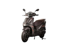 Joy E-bike Nemo image